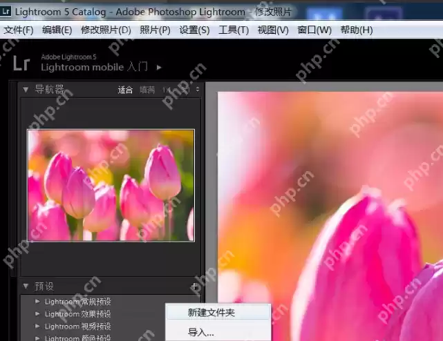 lightroom怎么导入预设
