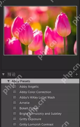 lightroom怎么导入预设