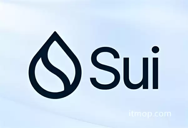 sui币是否长期持有要考虑多个因素