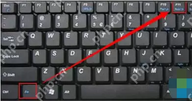 笔记本键盘失灵怎么办?