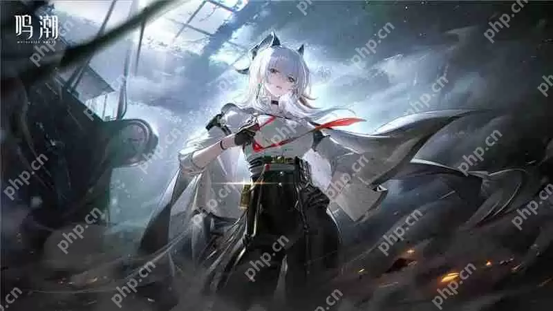 鸣潮2.3版本更新内容一览-新角色赞妮和夏空上线