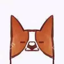 小红书笔记音乐怎么自动播放