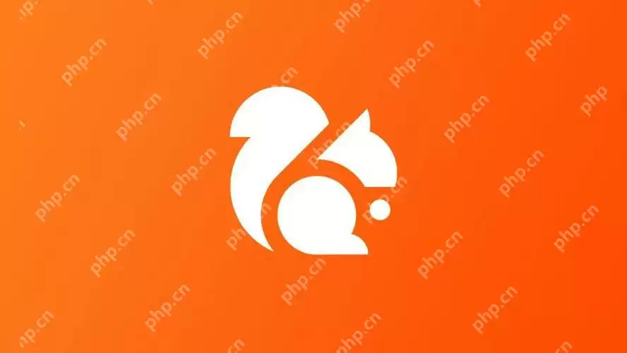 uc浏览器缓存的视频怎么导出来