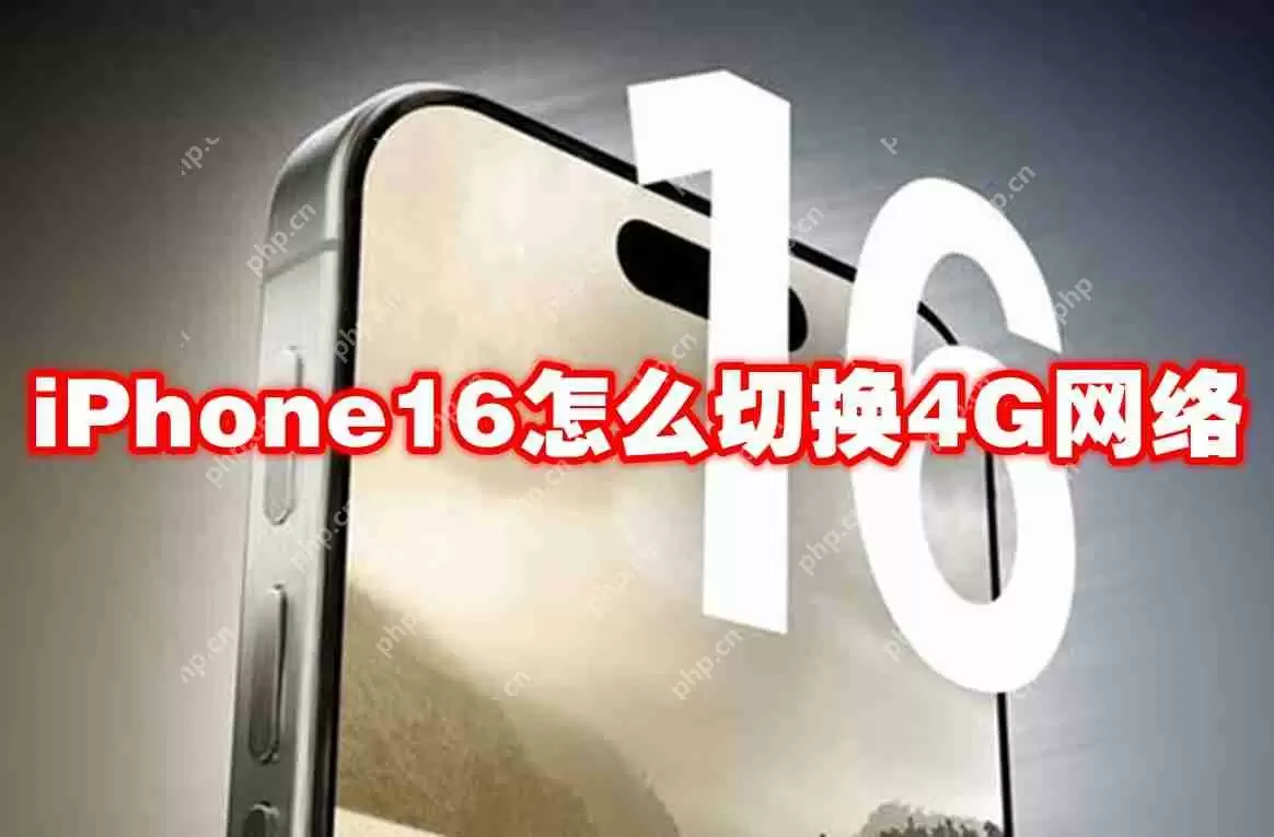 iPhone16怎么切换4G网络