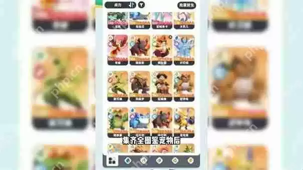 曙光重临橙色宠物排名