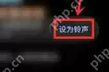 微信状态铃声怎么更换