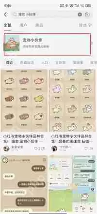 小红书宠物小伙伴怎么领养