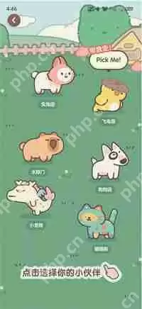 小红书宠物小伙伴怎么领养