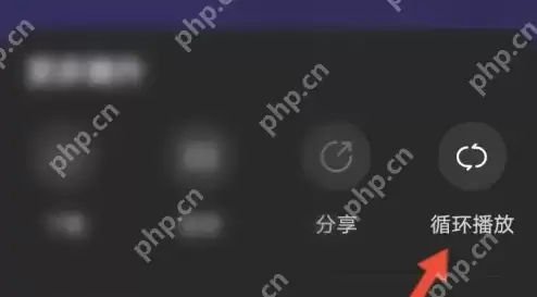 酷我畅听连续播放怎么设置