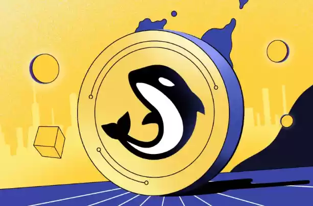 ORCA币是什么币?什么是ORCA币