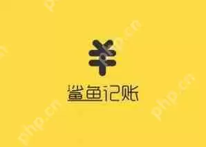 鲨鱼记账导出明细方法介绍