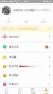糖豆下载的歌曲存放在哪里