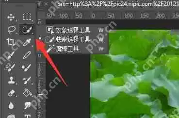 PS怎么把图抠出来不要背景?