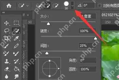 PS怎么把图抠出来不要背景?