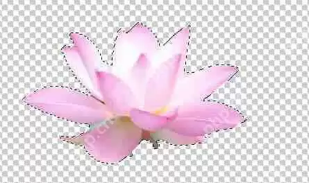 PS怎么把图抠出来不要背景?