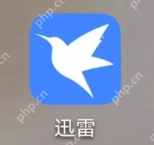 迅雷app磁力链是什么怎么用 迅雷磁力链前缀格式是什么