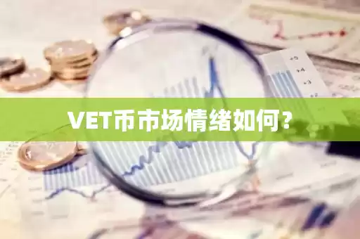 VET币与VeChain生态系统