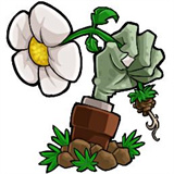 植物大战僵尸废物