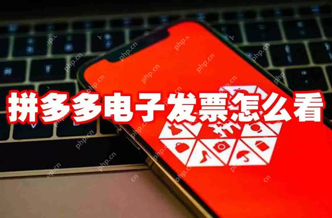 拼多多电子发票怎么看