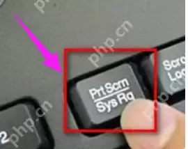主编教您电脑怎么使用快捷键截图