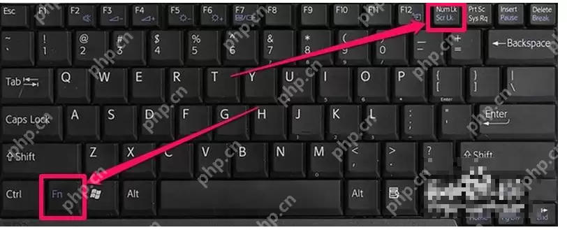 笔记本键盘打不出字?小鱼教您解决键盘失灵的问题