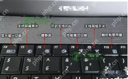 笔记本键盘打不出字?小鱼教您解决键盘失灵的问题