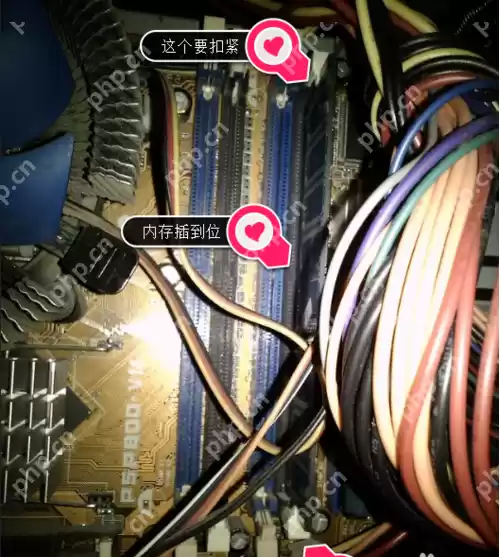 显示器无信号,详细教您电脑显示屏不显示怎么修复