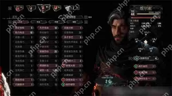 光与影33号远征队最强的三位角色说明