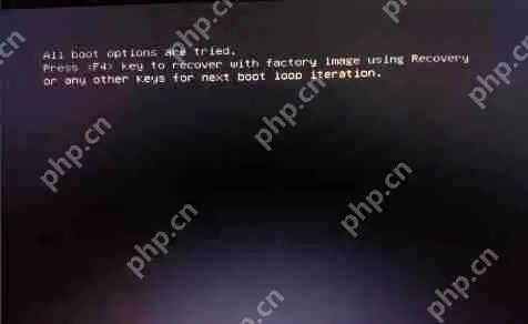 U盘装系统后提示“All boot options are tried”