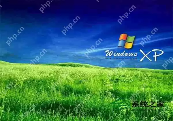 XP系统下载后如何将FLASH设置为动态桌面背景？