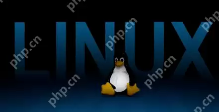 小编详解电脑操作系统有哪些