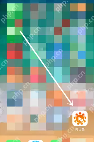 如何通过向日葵软件进行手机远程控制？