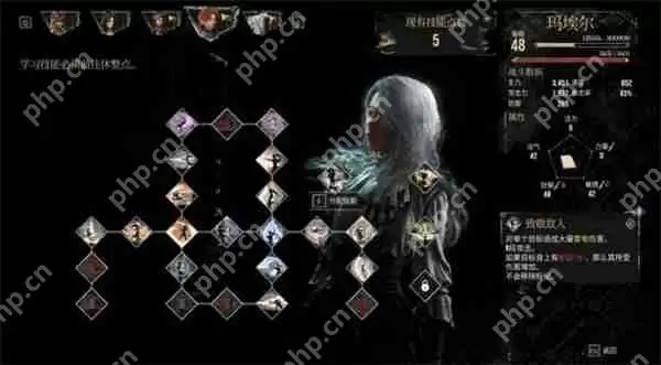 光与影33号远征队全部角色机制介绍说明