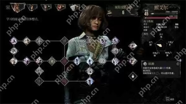 光与影33号远征队全部角色机制介绍说明