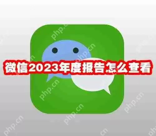 微信2023年度报告怎么查看