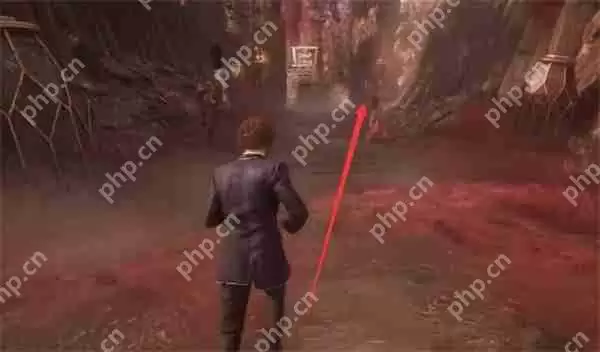 光与影33号远征队轮盘赌获取方法分享