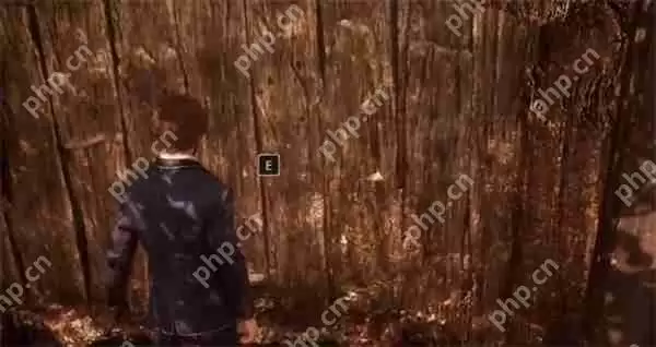 光与影33号远征队轮盘赌获取方法分享