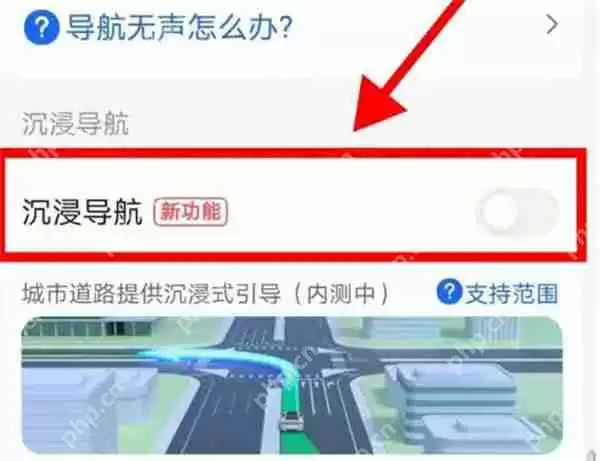 高德地图怎么开启沉浸导航