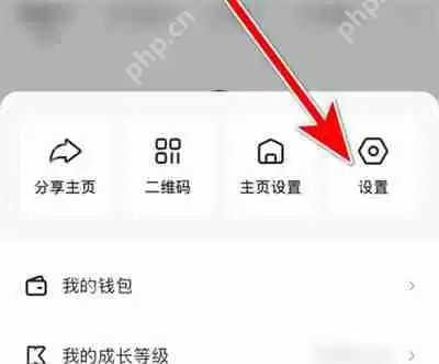 快手极速版弹幕怎么开启