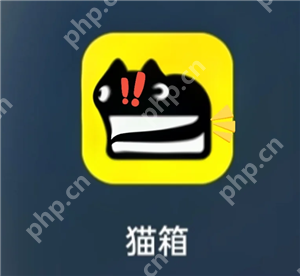 猫箱怎么开启羞涩模式 猫箱羞涩模式最简单三个步骤