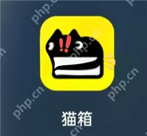 猫箱怎么开启羞涩模式 猫箱羞涩模式最简单三个步骤