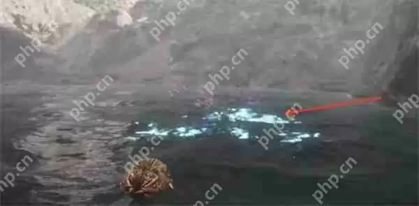 光与影33号远征队潜水技能获取方法