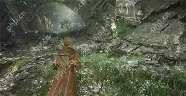 光与影33号远征队着火暴击如何获取