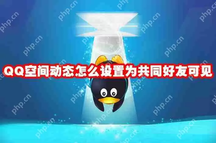 QQ空间动态怎么设置为共同好友可见