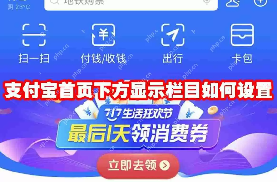 支付宝首页下方显示栏目如何设置