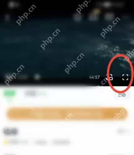 爱奇艺大屏幕怎么开启