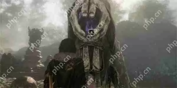 光与影33号远征队坛子打不打说明