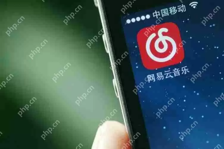 网易云音乐下载歌曲是什么格式