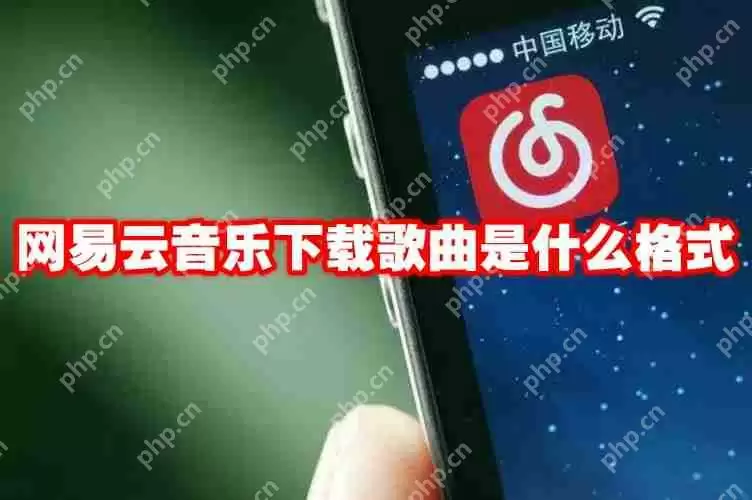 网易云音乐下载歌曲是什么格式