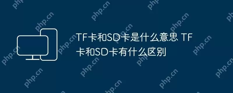 tf卡和sd卡是什么意思 tf卡和sd卡有什么区别